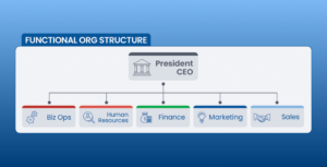 Organizational Structures for Business